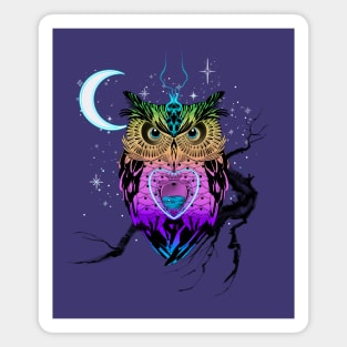 Magical owl Magnet